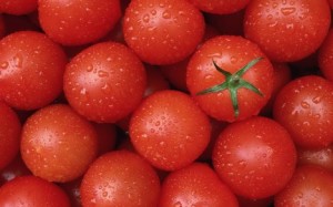gibrid-pomidori-tiras