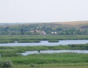 liman-kucergani