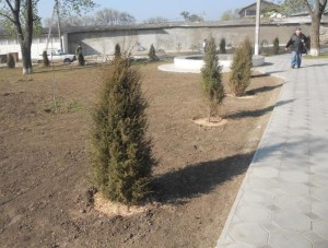 parki-dubosari