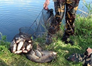 В Каменском районе задержали браконьеров