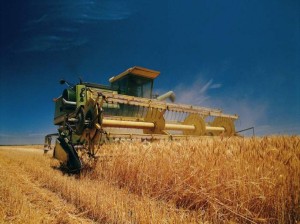 Григориопольский район собрал 100 тысяч тонн зерна